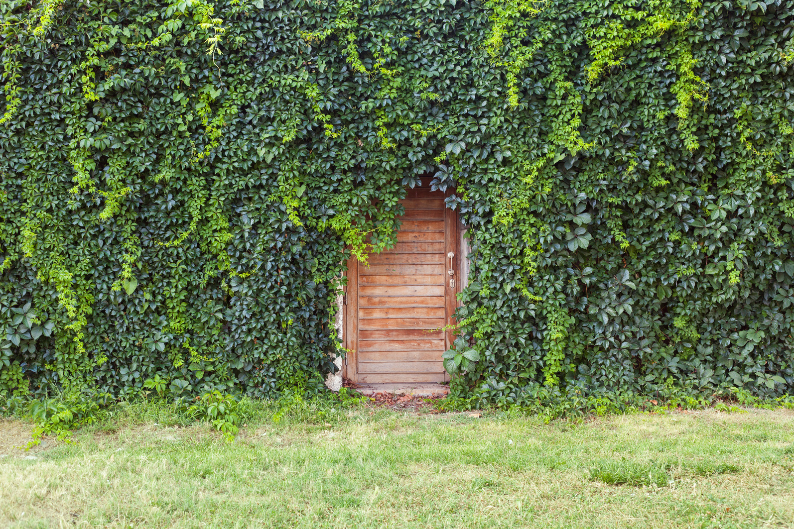 Hidden doorway